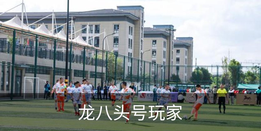 关于龙八头号玩家